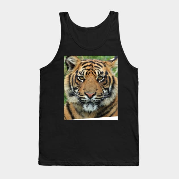 Tiger Tank Top by SusanaDesigns